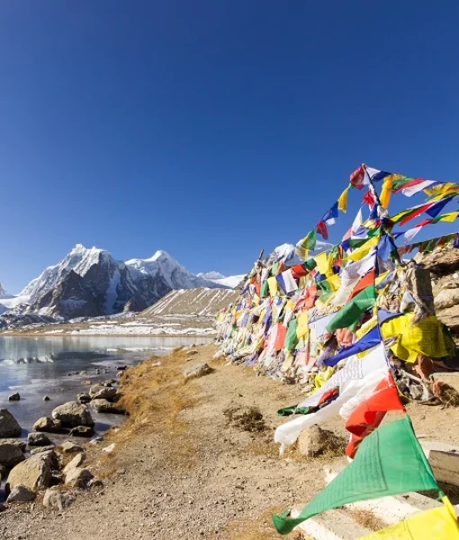 Sightseeing & Local Tours